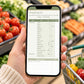 Meal Planner Spreadsheet with Auto Shopping List, Weekly Meal Plan Template for Google Sheets & Excel, Family Recipe Organiser, Grocery List