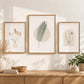 Boho Botanical Nursery Prints Set of 3, Pampas Grass Palm Leaf Arch Wall Art, Neutral Minimalist Printable Wall Art, Beige Nursery Decor