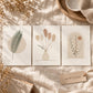 Boho Botanical Nursery Prints Set of 3, Pampas Grass Palm Leaf Arch Wall Art, Neutral Minimalist Printable Wall Art, Beige Nursery Decor
