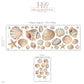 Seashell Wall Stickers, Beach Nursery Decor, Shell Starfish Wall Decals, Coastal Ocean Kids Room Pastel Peel and Stick Wall Art