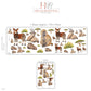 Safari Animal Wall Stickers, Savanna Nursery Decor, Okapi Baboon Warthog Wall Decals, Kids Room Watercolour Acacia Peel and Stick Wall Art