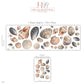 Seashell Wall Stickers, Beach Nursery Decor, Shell Sand Dollar Mussel Wall Decals, Kids Room Coastal Peach Blue Peel and Stick Wall Art