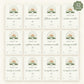 Toddler Milestone Cards Printable, 13 Months to 3 Years Photo Cards, Toddler Firsts, Sage Boho Milestone Cards, First Birthday Gift