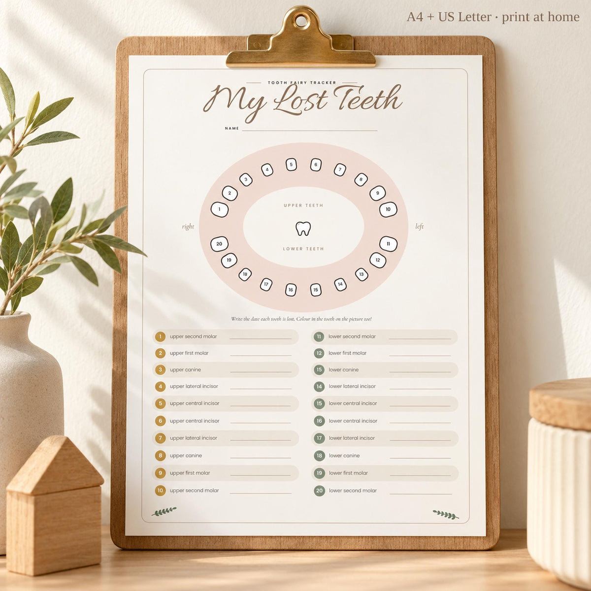 Tooth Fairy Kit Printable, Tooth Fairy Letter and Certificate, Tiny Tooth Envelope, Lost Tooth Chart, Tooth Fairy Receipt, A4 Letter