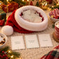 Christmas Family Games Printable, Christmas Quiz, Christmas Bingo, Charades, Would You Rather, Party Games for Kids and Adults