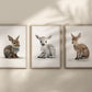 Animal Frame Prints White Cute Baby Nursery Decor Poster Safari Children's Picture Wall Art Work Boys Bedroom Girls Room Home Decor Ideas